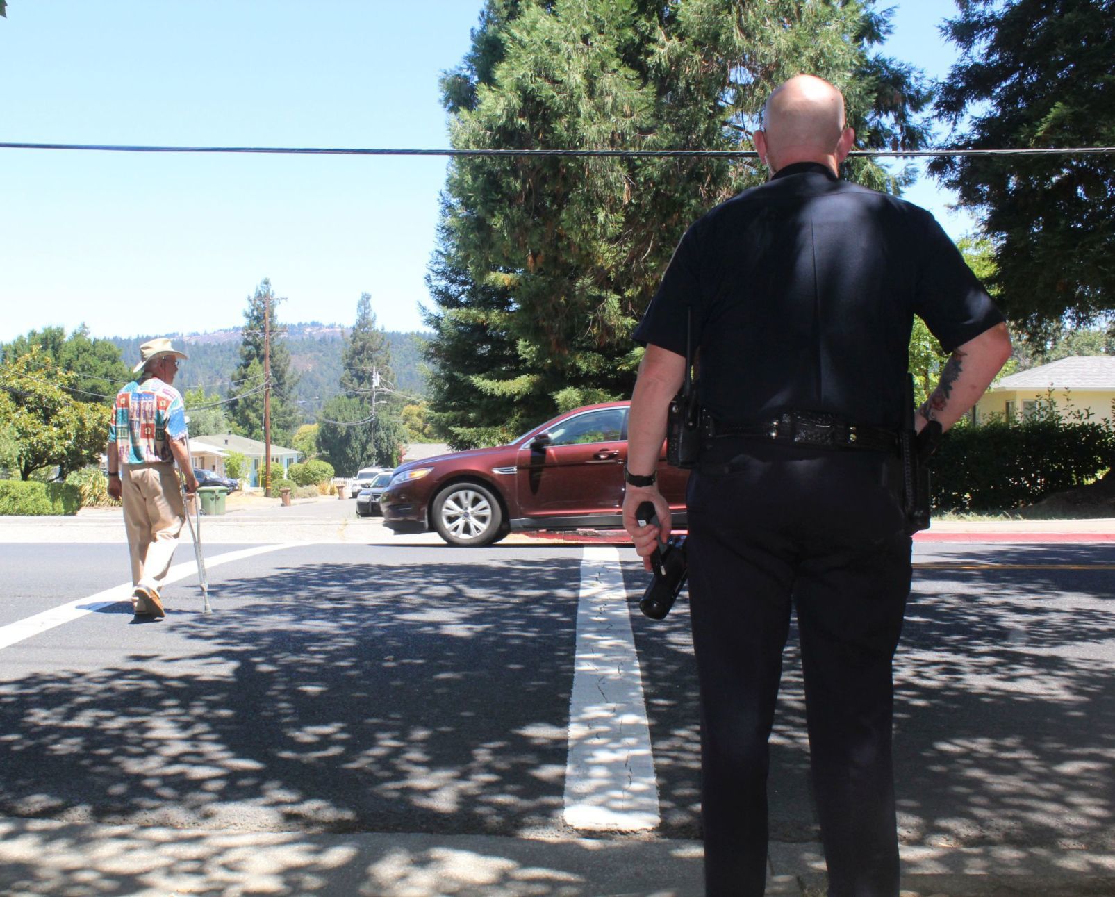 Crosswalk sting